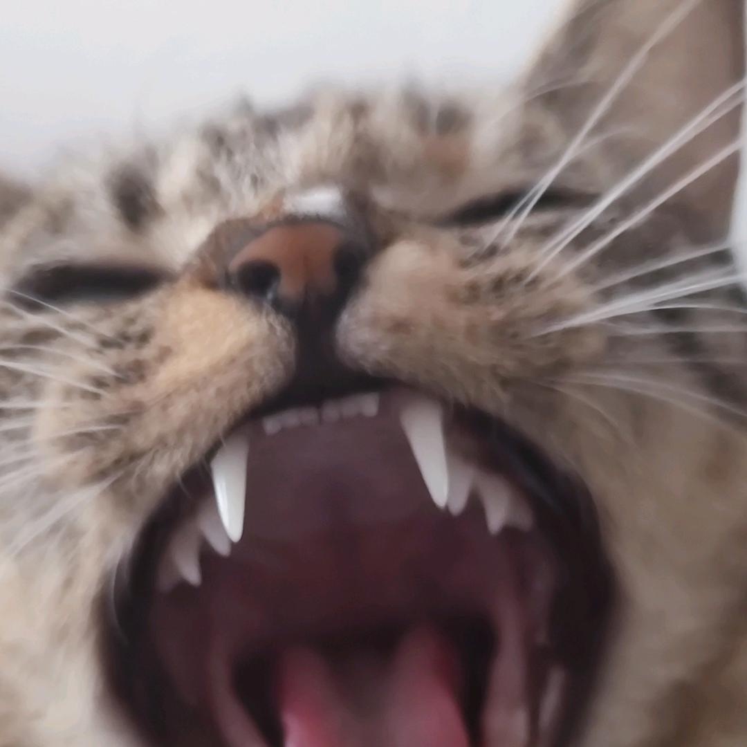 泷叁