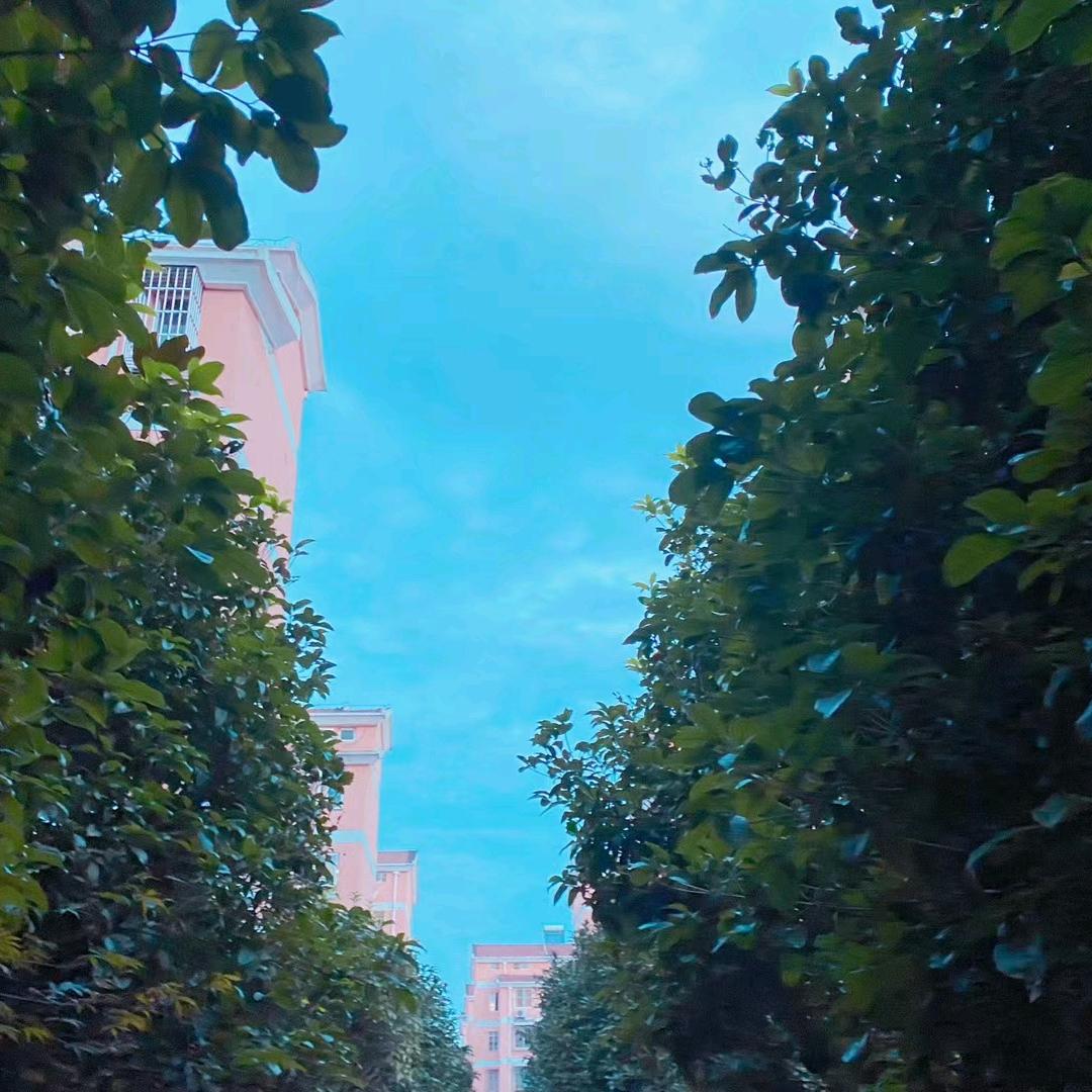 幸福的一家三口🌞