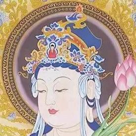 安妮666