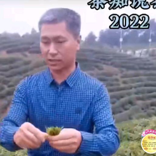 茶痴老赵