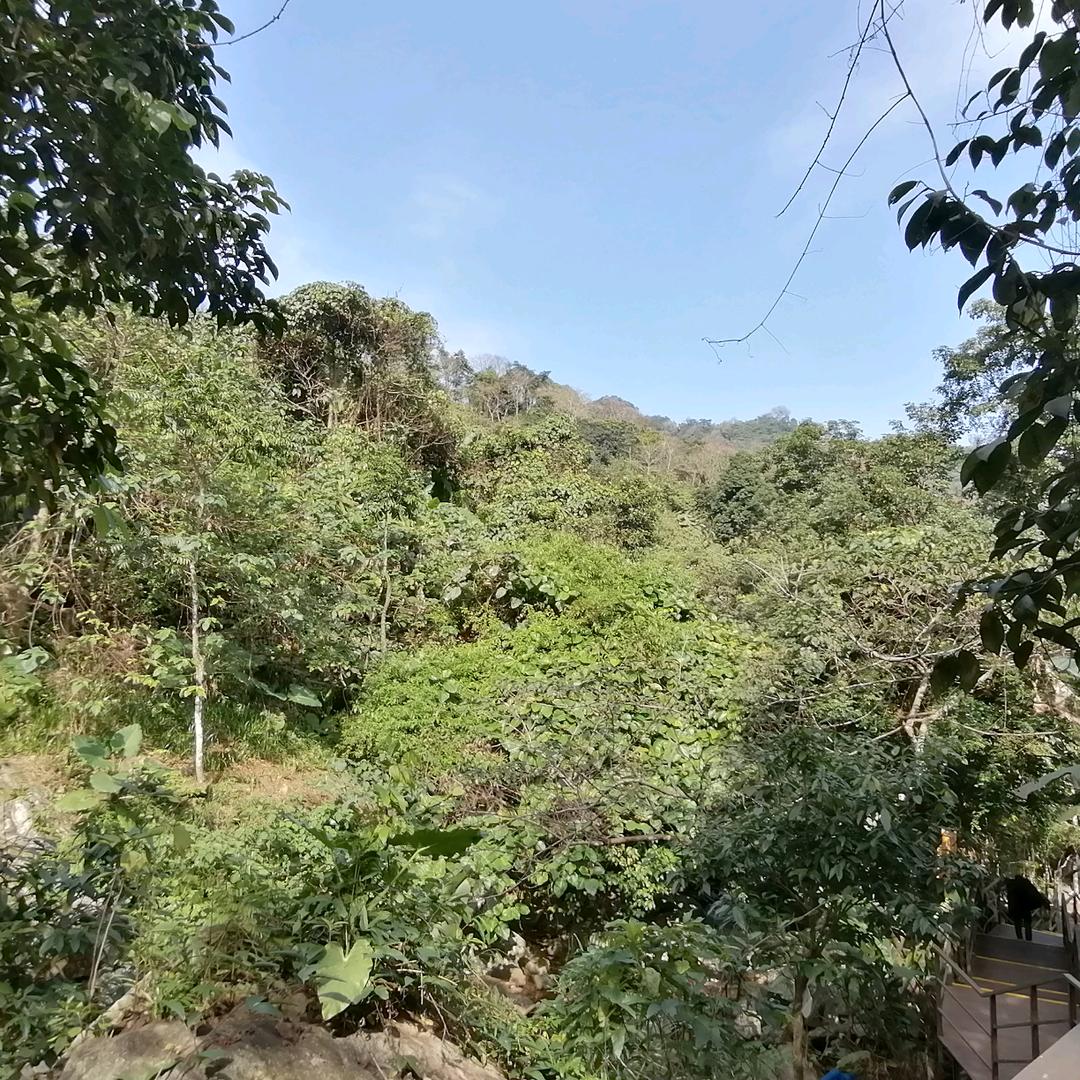 钨丝用户6107352609856