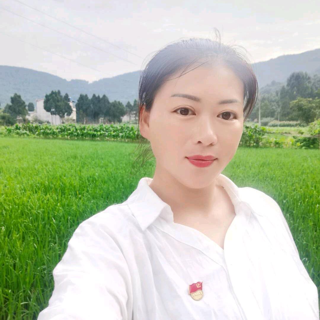 hsq侯述琼