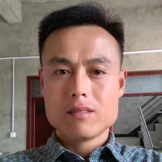 萌羊
