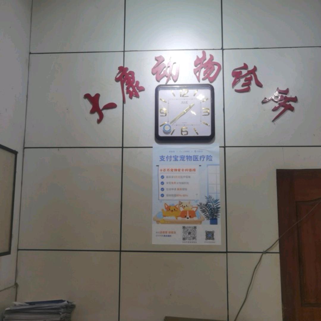 大康动物诊所