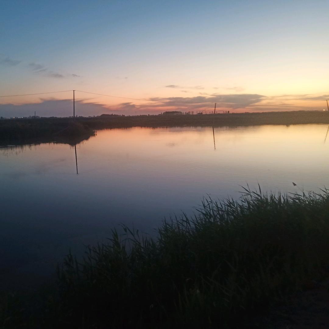 拓农兴业--夏辉