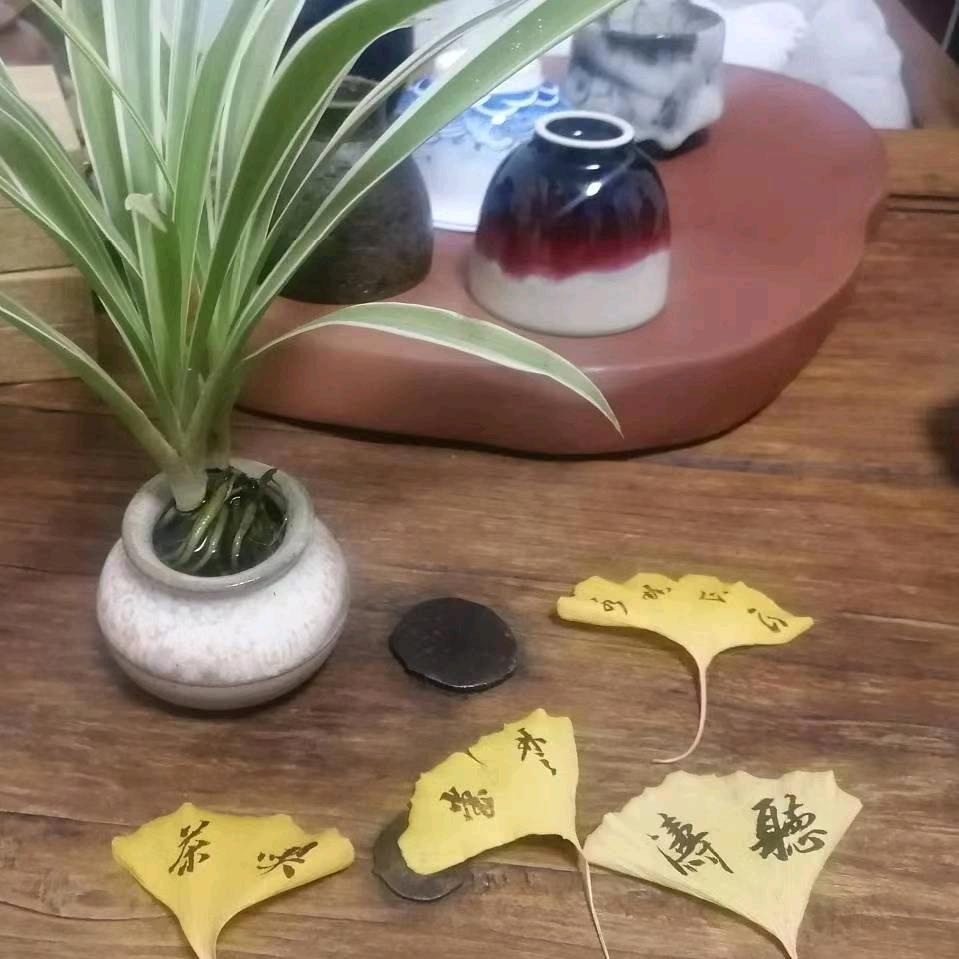 风逝