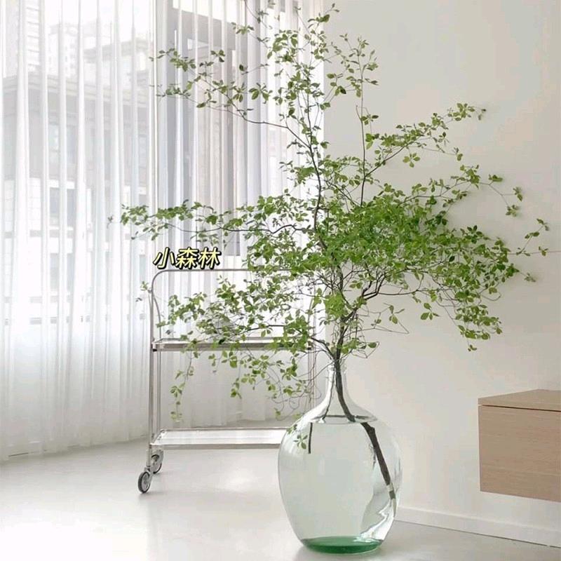 爱尚鲜花生活馆