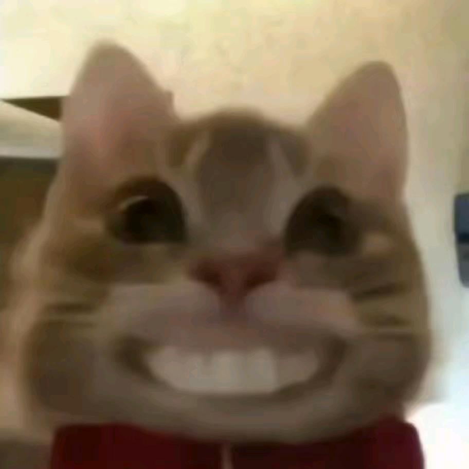 对晩风说早安