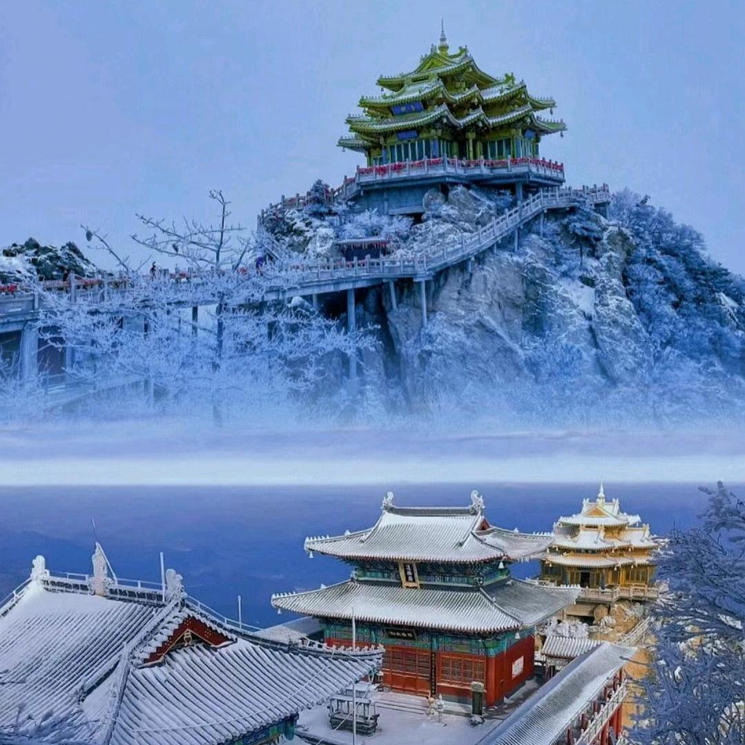 面向未来💭