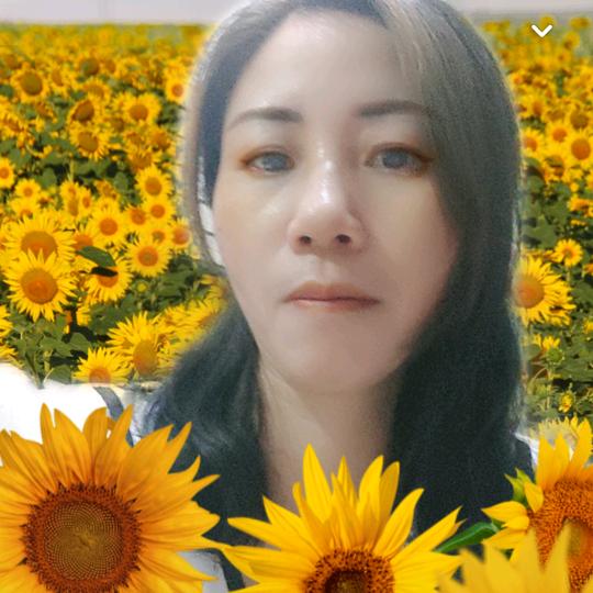 林林橱窗好物分享