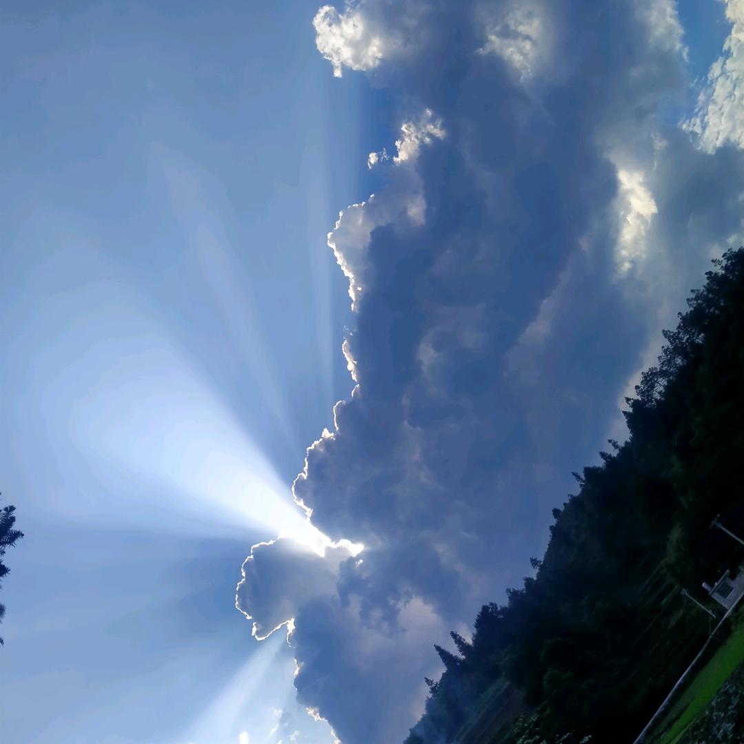 🌹💞相亲🥀💕相爱🐉🎣