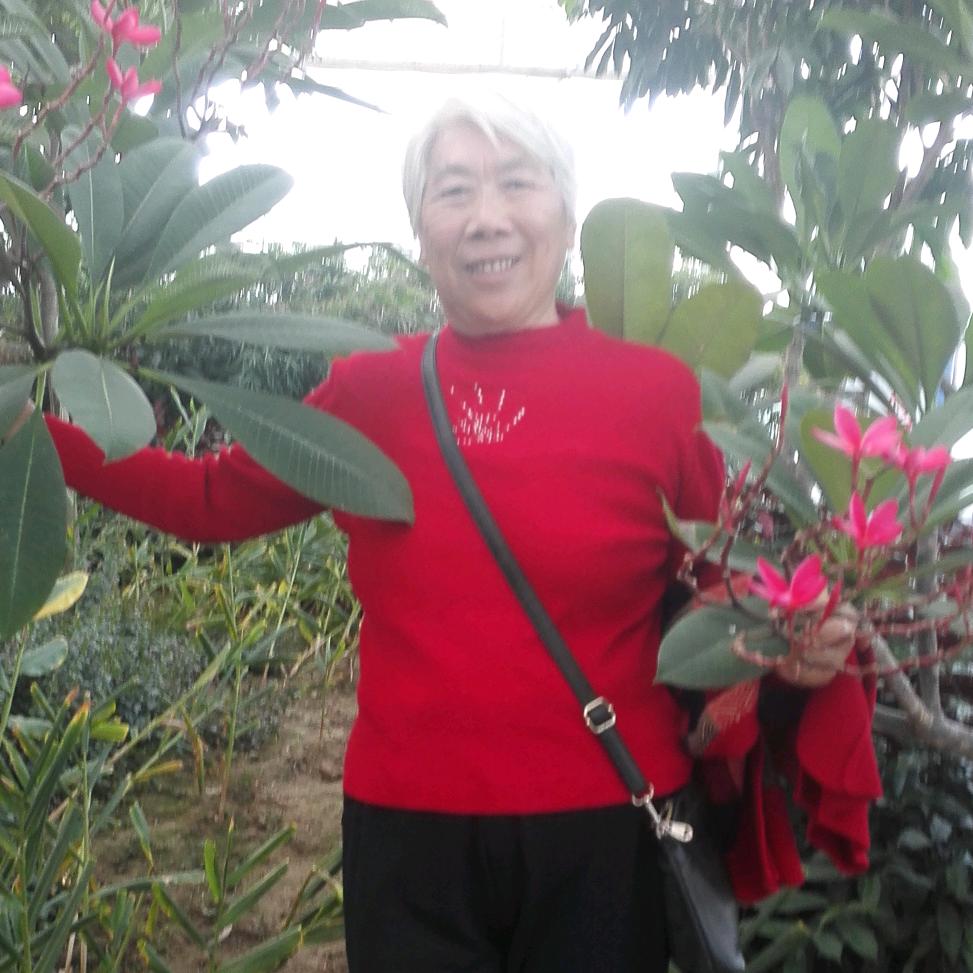 开开心心的