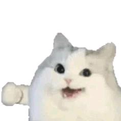 骨头🦴多头像