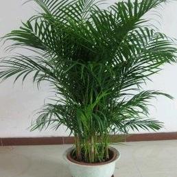 说给风听,笑给云看