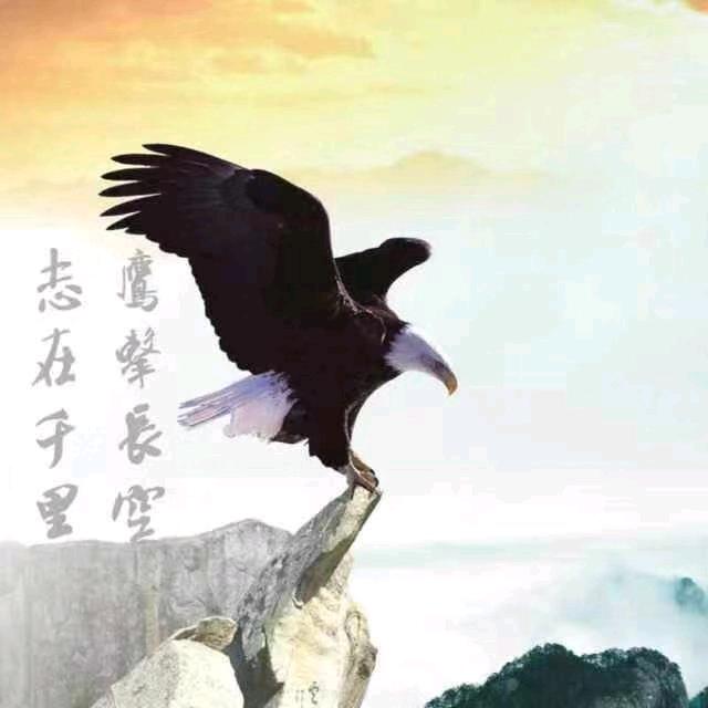 周哥