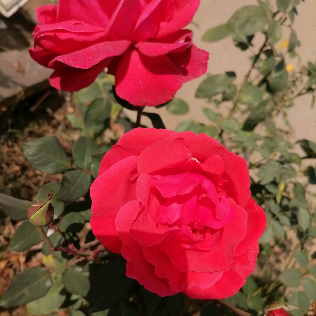 余点