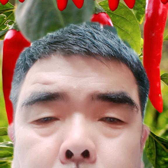 韩园普