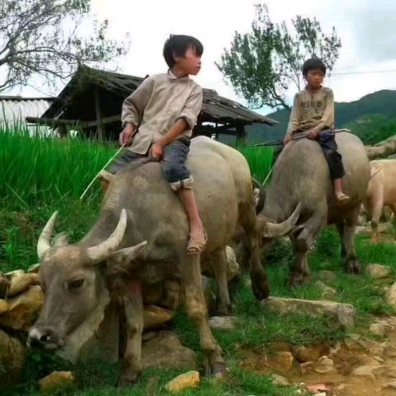 抖你玩