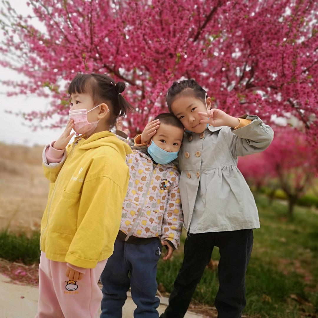 大张庄志军农资