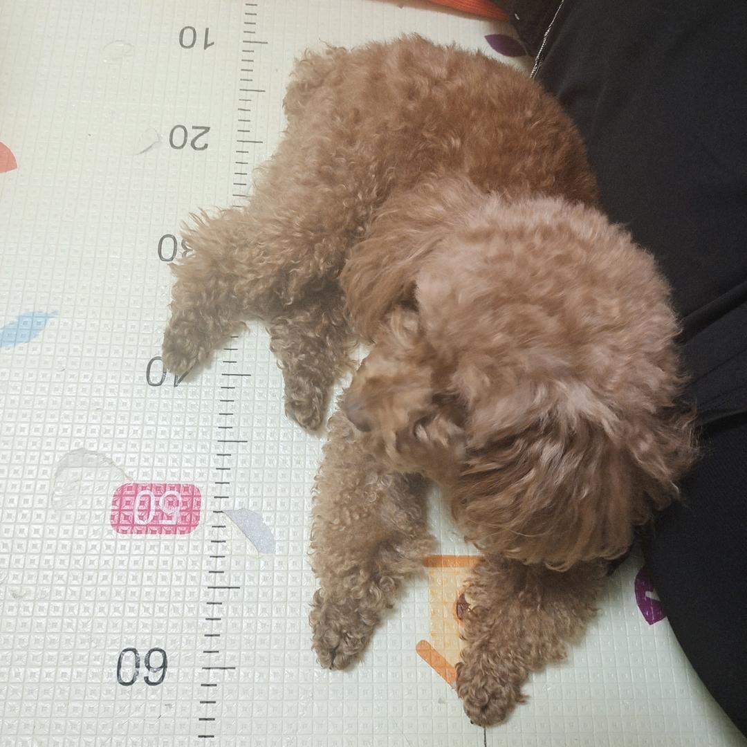 林教授