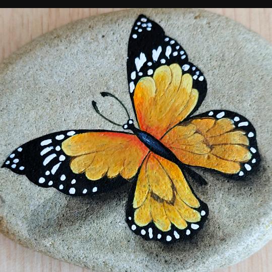 🇨🇳雪域雄鹰🇨🇳