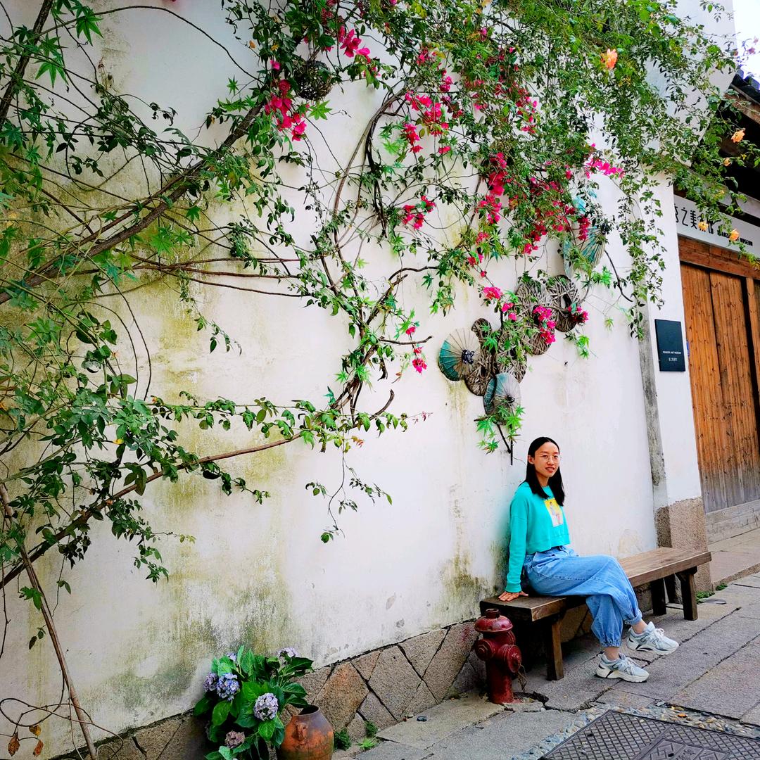 路边小马甲