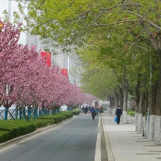 自由自在乐逍遥