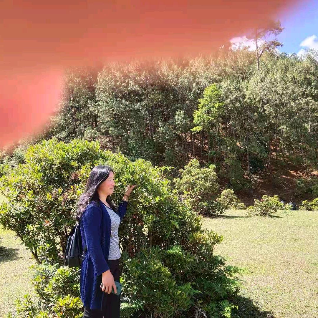 小莲