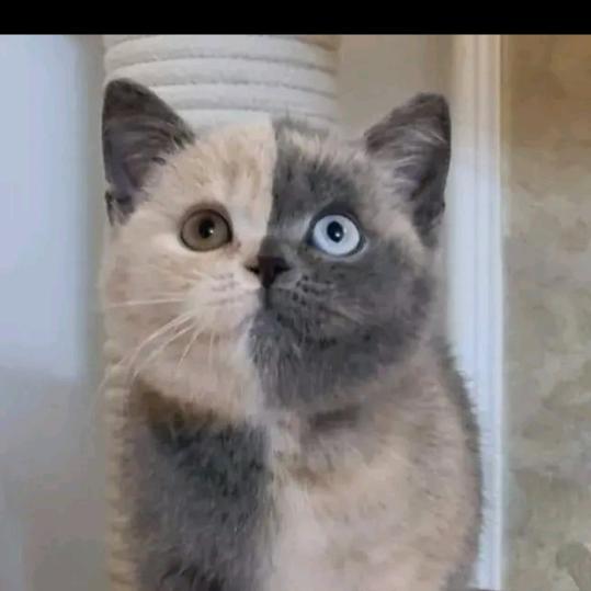 ♛青⊿½木 由✣