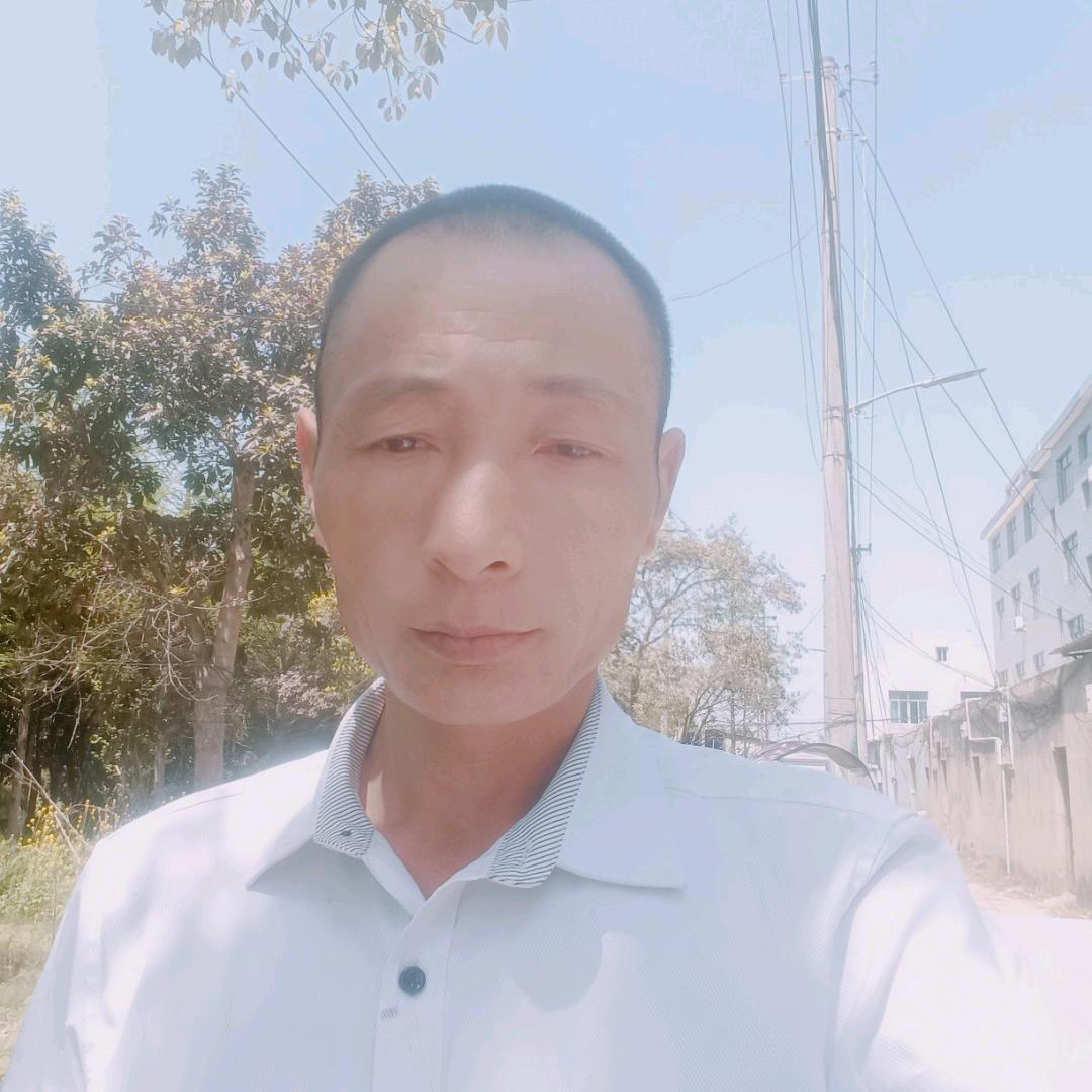 大漠苍狼