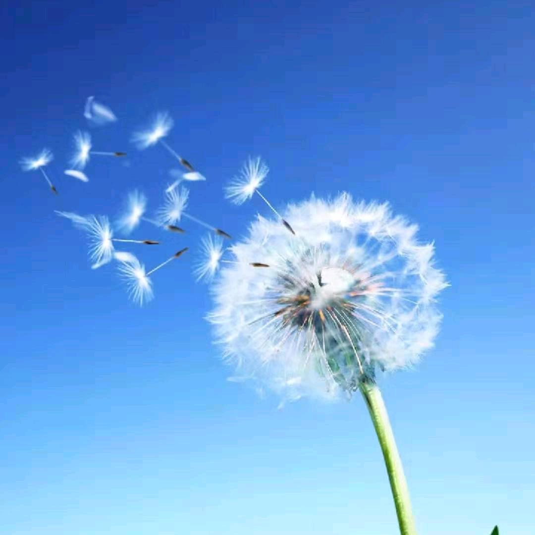 卢州风月