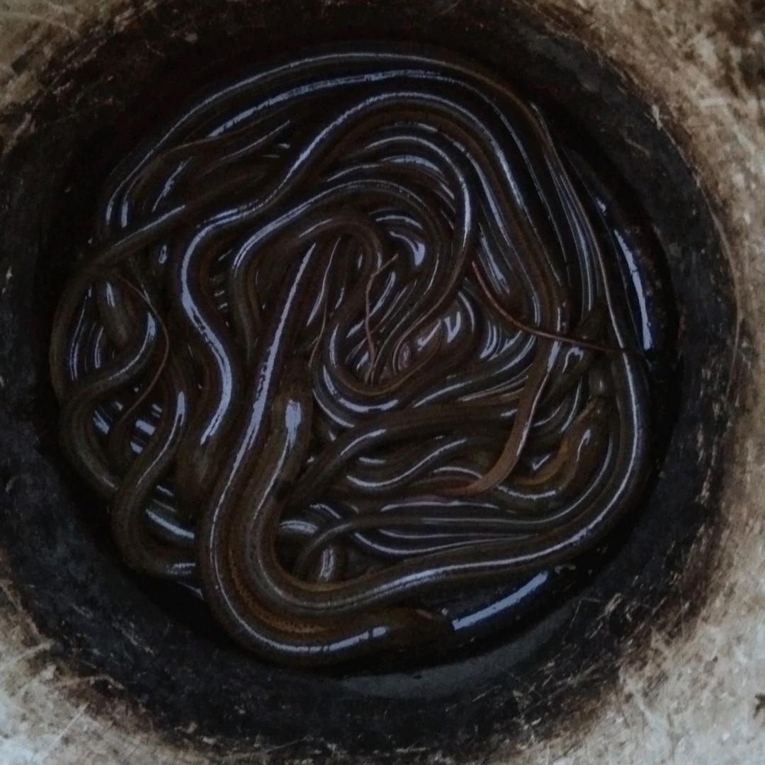 小样