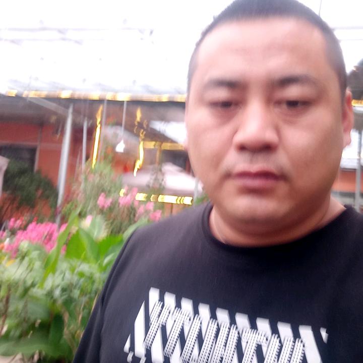 飞仔