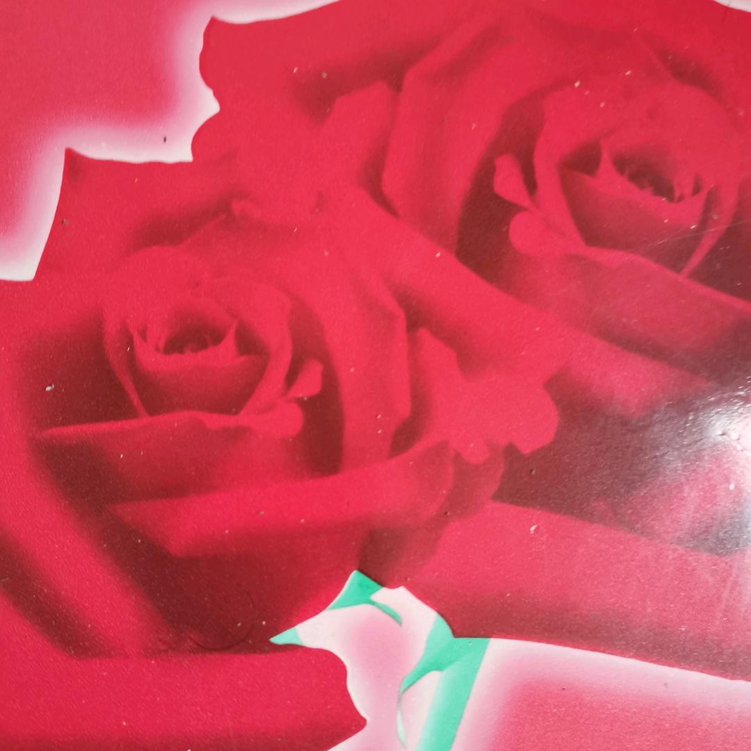 🌹🌹白姐🌹🌹