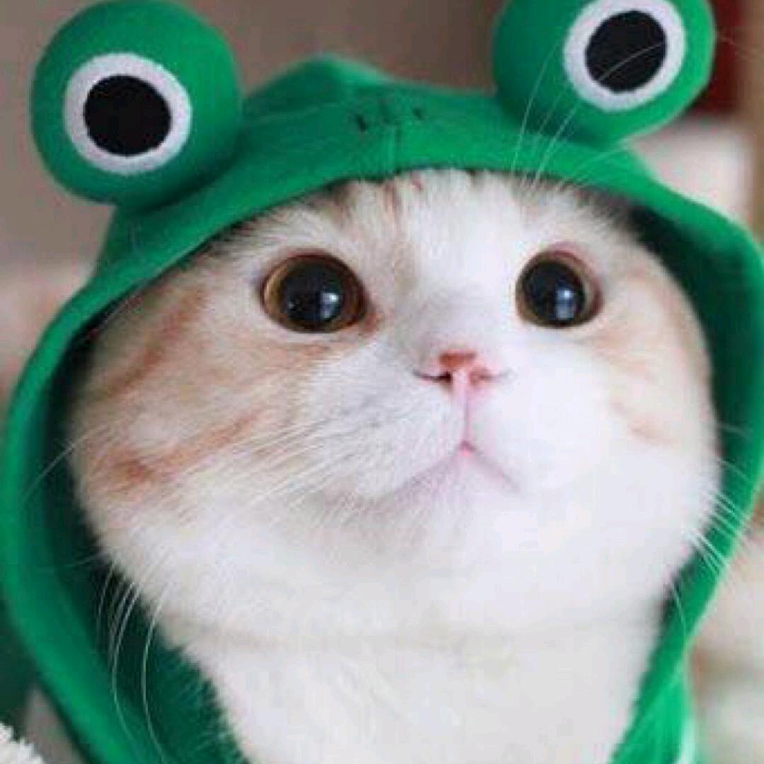 游乐🤴
