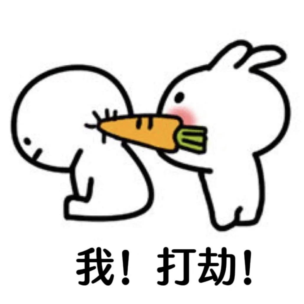 狂野De熊猫