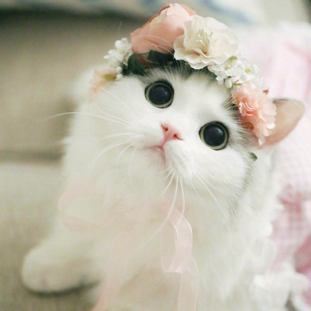 莆田寻亲小李🐎