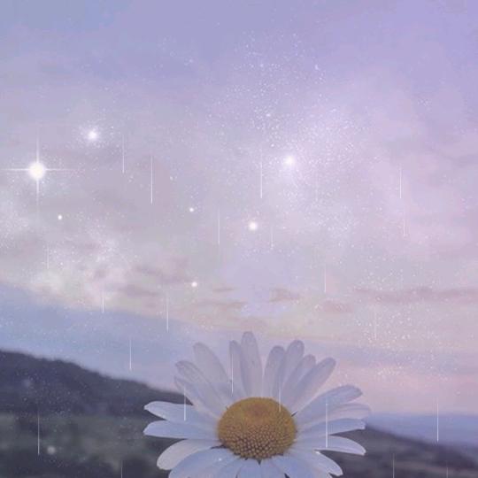 勿忘