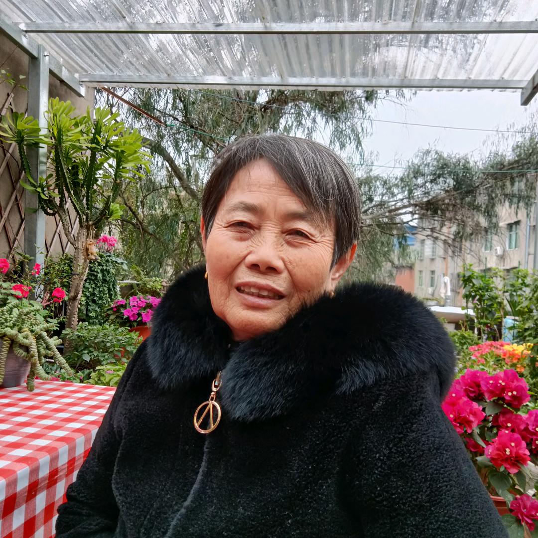 涛涛的奶奶