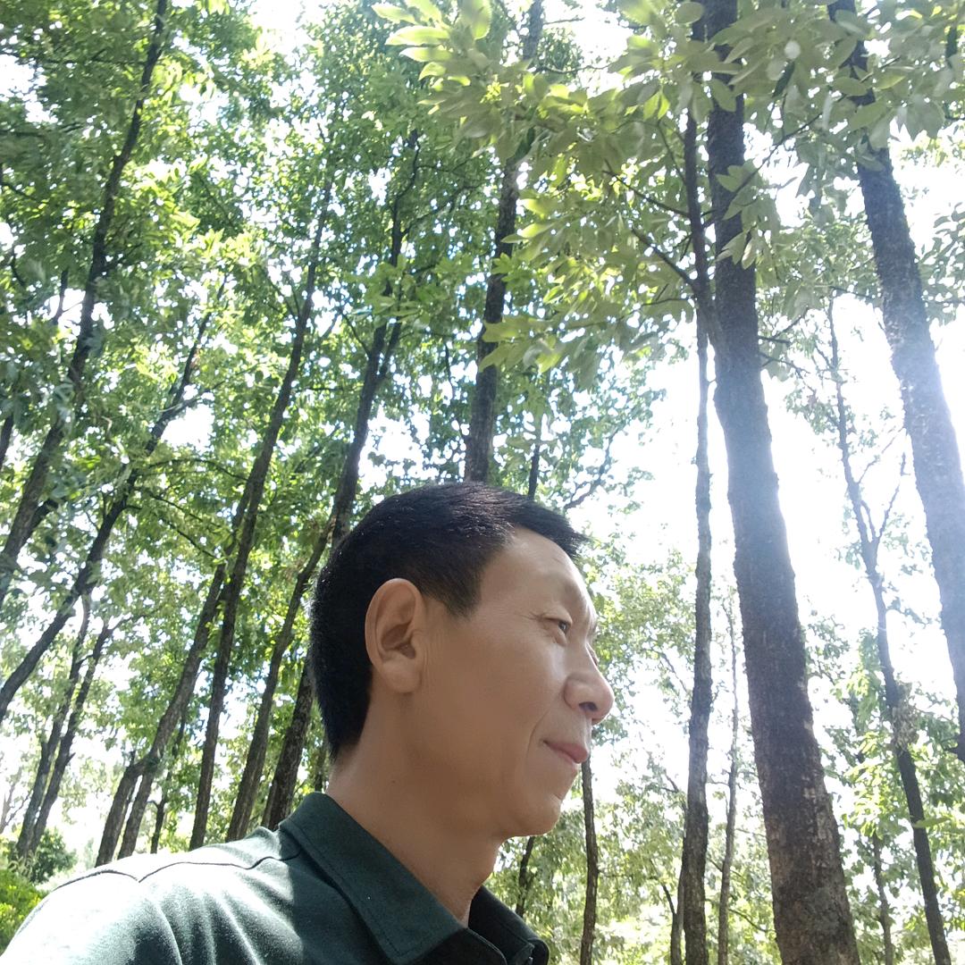 爱歌的人