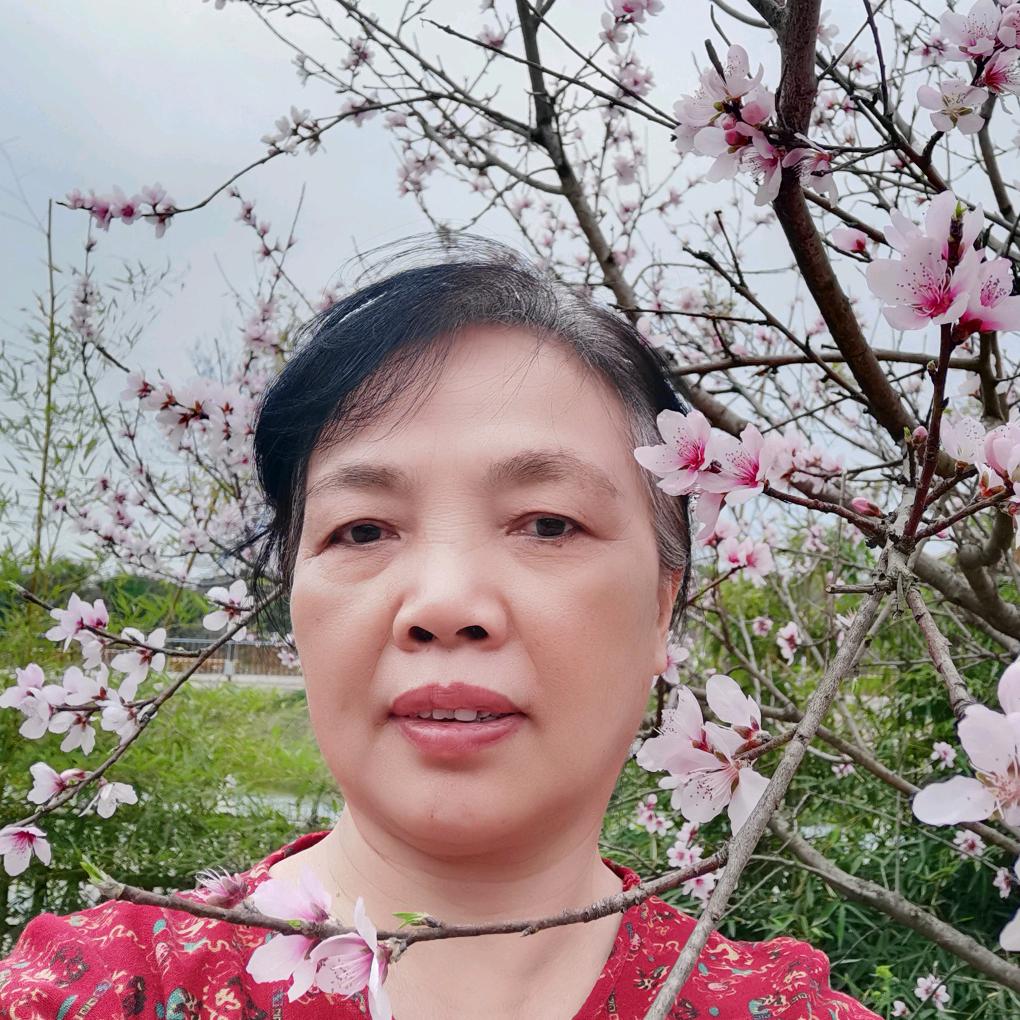 蚂蚁的妈妈