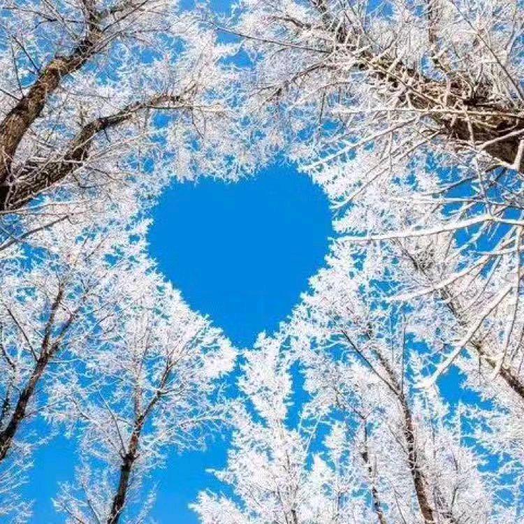 🕊᭓ٹـويہنٱشہمٱ💗