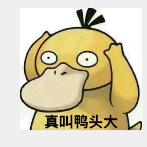 大头鸭较真