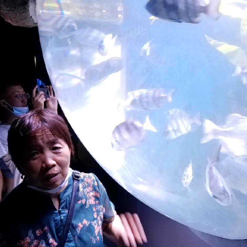 会灵