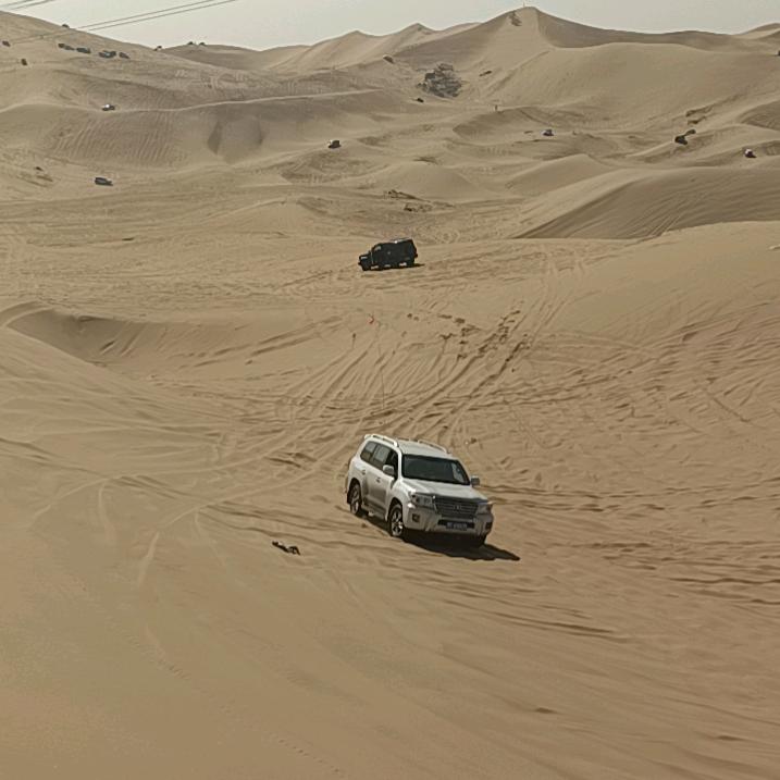 🎶追忆音乐🎶