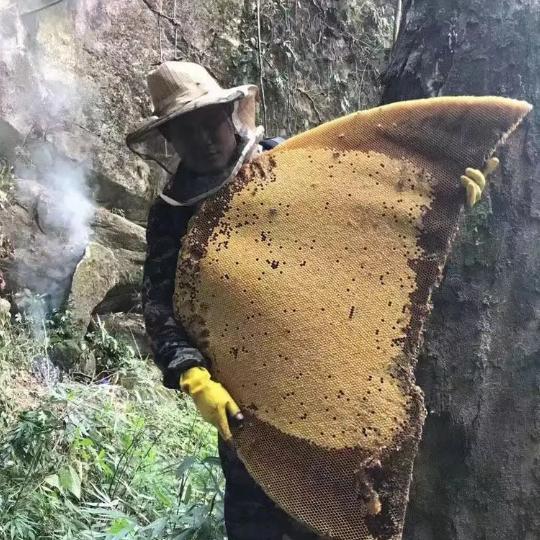 李海龙（百兴）