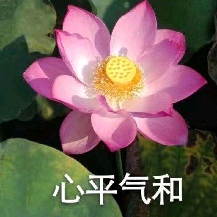 天天开心*^_^*