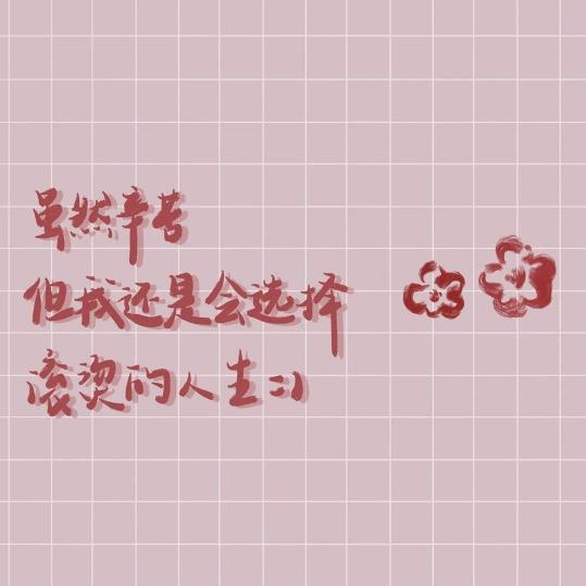贰货日常