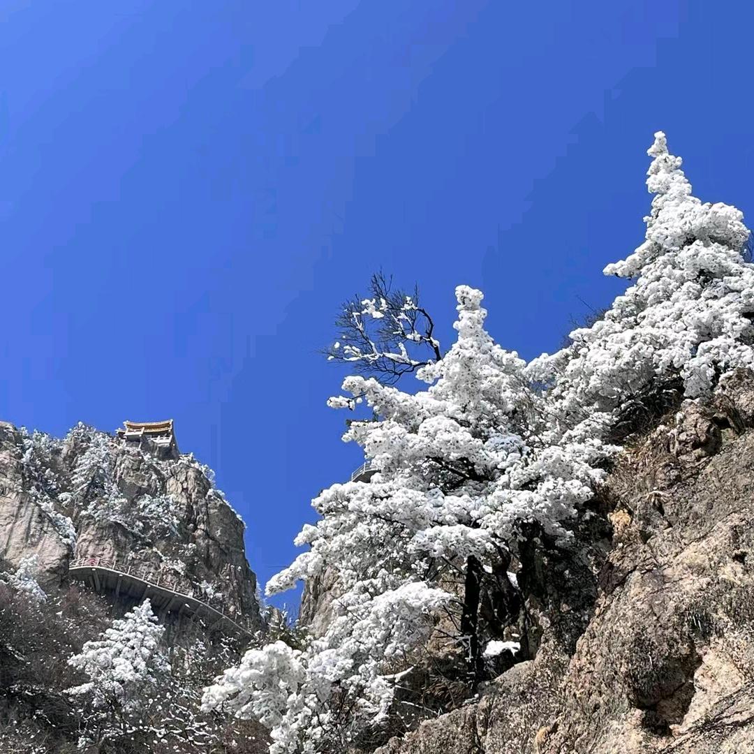 雪林
