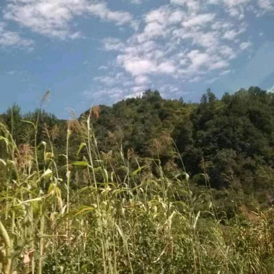 归零